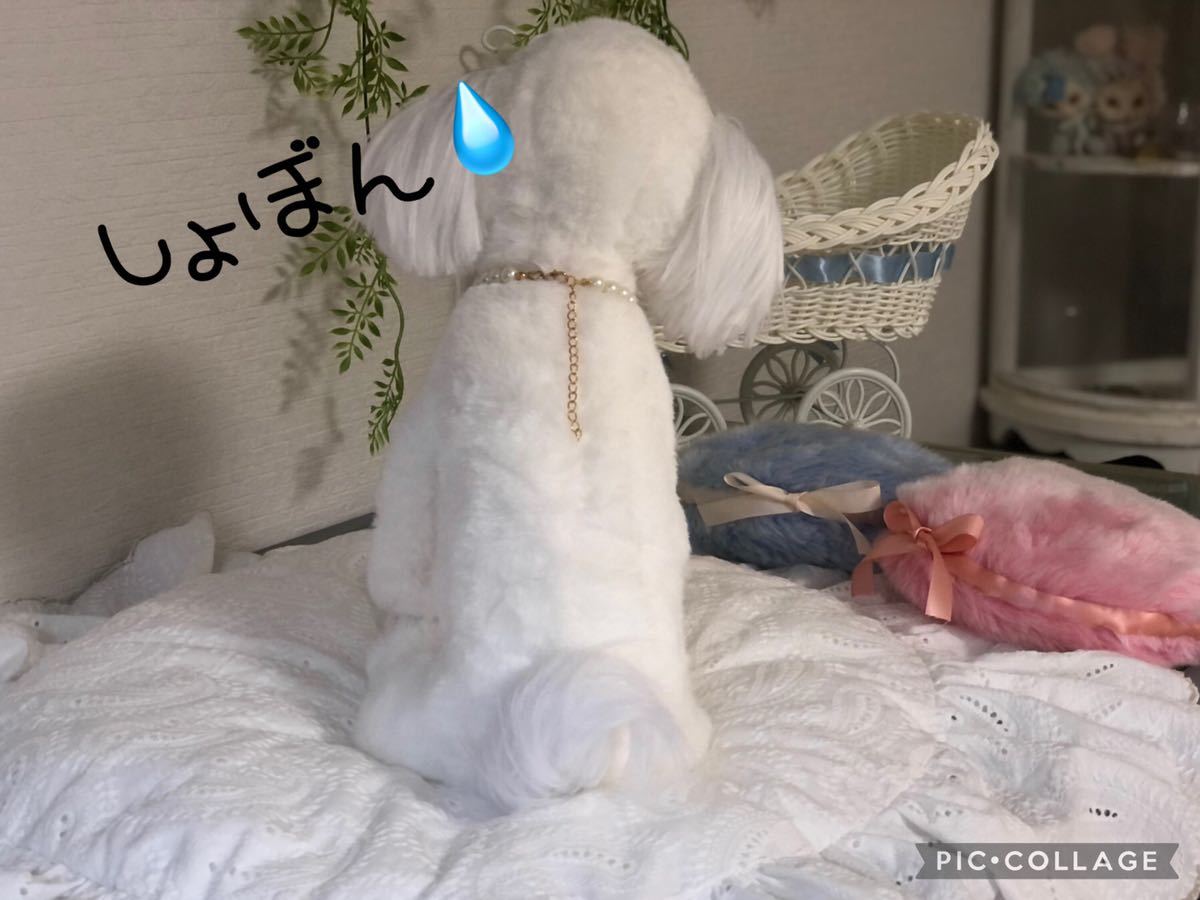 tsuchineko フル可動 リアルサイズのペキニーズちゃん トイ tsuchineko フル可動 リアルサイズのペキニーズちゃん トイ