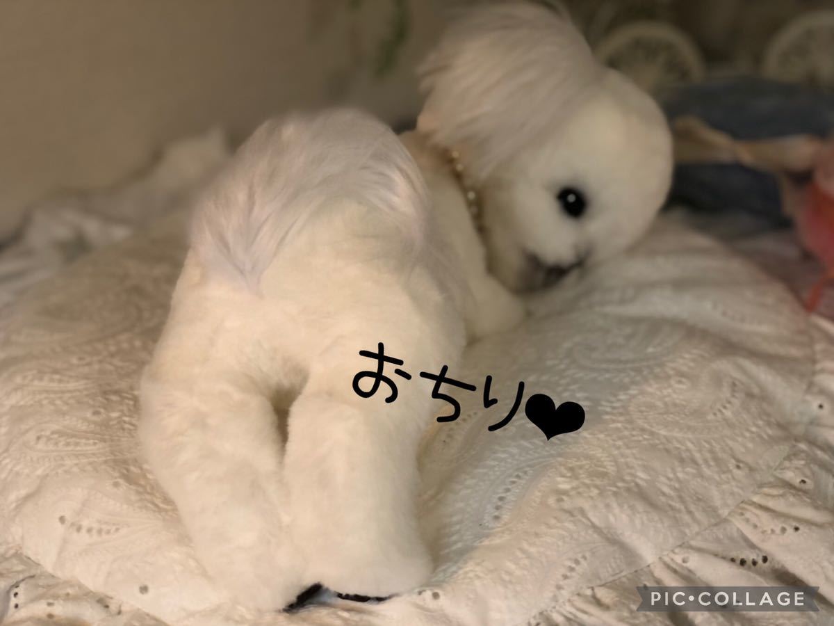 tsuchineko フル可動 リアルサイズのペキニーズちゃん トイ tsuchineko フル可動 リアルサイズのペキニーズちゃん トイ