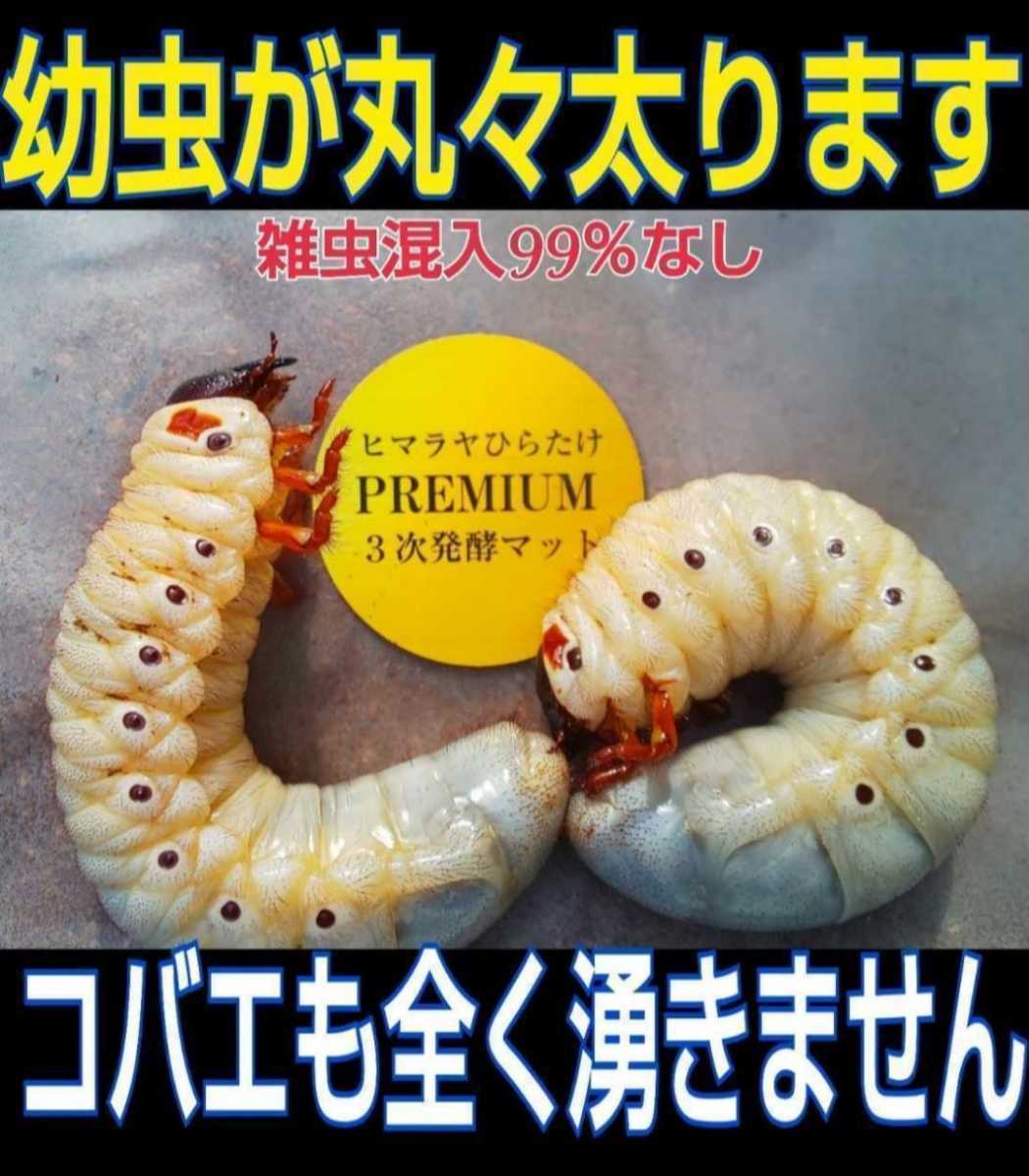進化した!特選プレミアム3次発酵カブトムシマット【40L】微粒子☆特殊