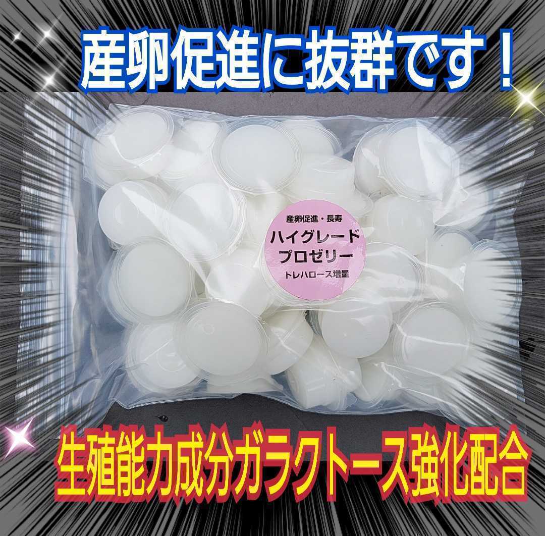 クワガタ、カブトムシの餌はコレ！ハイグレードプロゼリー【100個】食べやすいワイドカップ☆トレハロース強化！産卵促進・長寿効果抜群_画像9