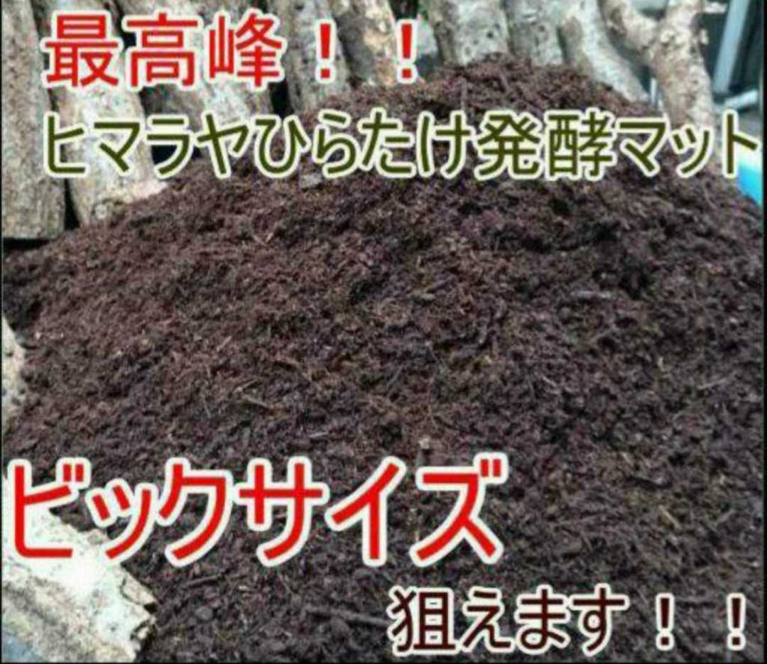 【改良しました】幼虫がビッグに！ヒマラヤひらたけ発酵カブトムシマット【200L】雑虫、ミミズ、コバエで悩んでる方は是非お試しください