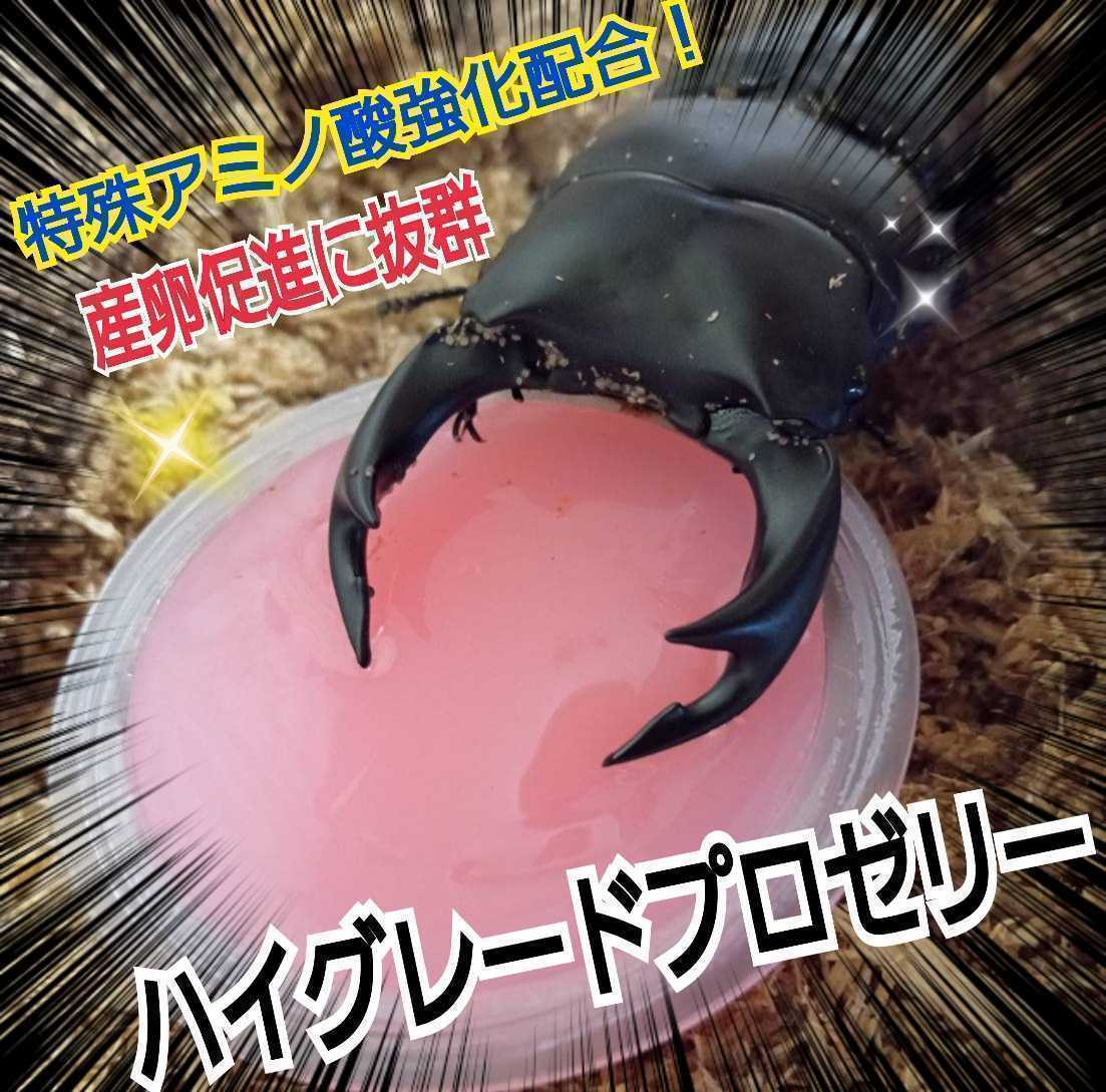 クワガタ、カブトムシの餌はコレ！ハイグレードプロゼリー【100個】食べやすいワイドカップ☆トレハロース強化！産卵促進・長寿効果抜群！_画像2