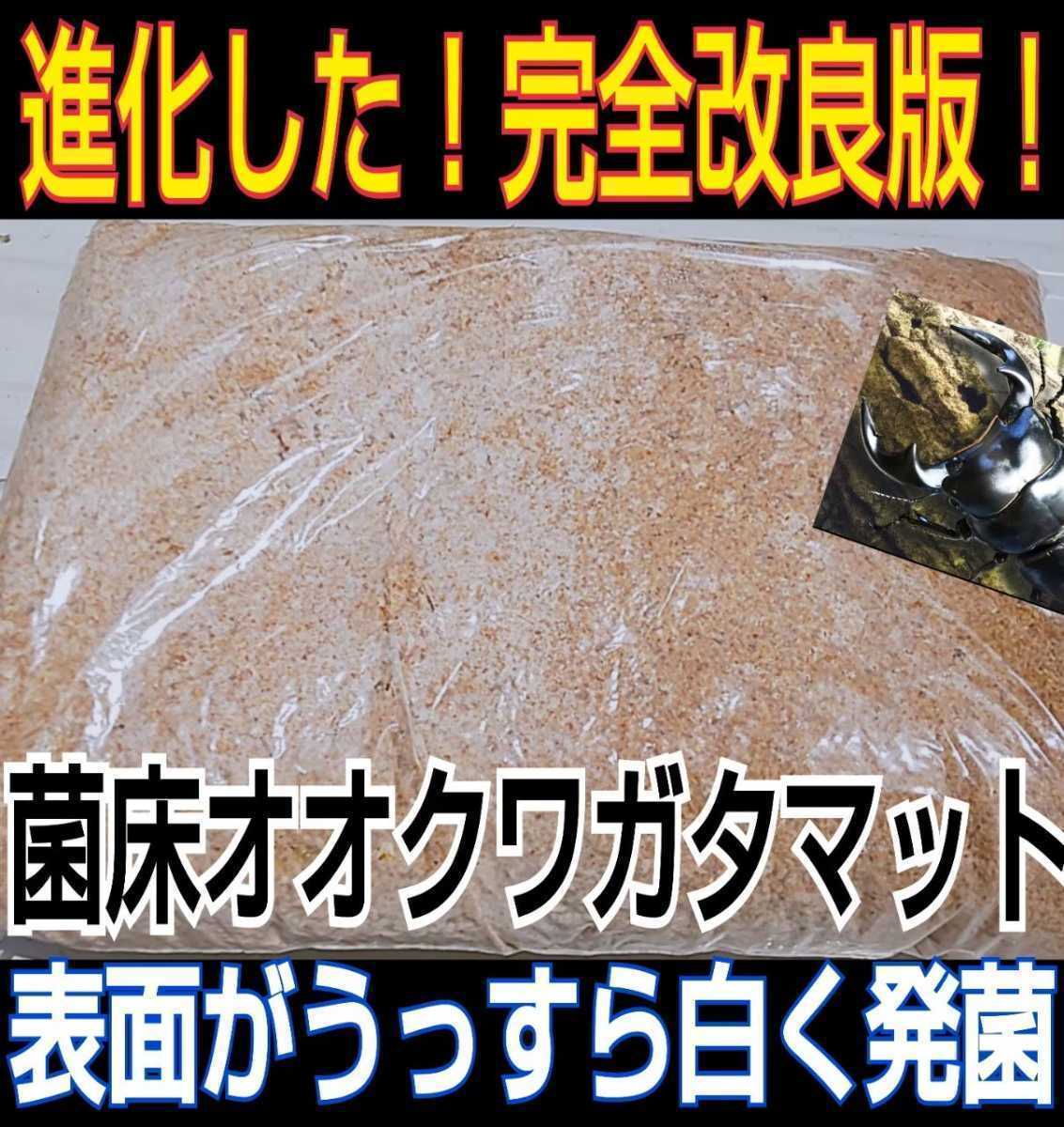 [ improvement version ]. floor crushing stag beetle mat [4L] bin . pudding cup .... only!o ok wa,nijiiro, common ta, saw larva . big size .!