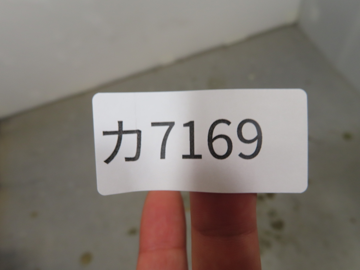 カ7169 「現地株」アデニウム ソマレンセ 植え【未発根・Adenium カ7169 「現地株」アデニウム ソマレンセ 植え【未発根・Adenium