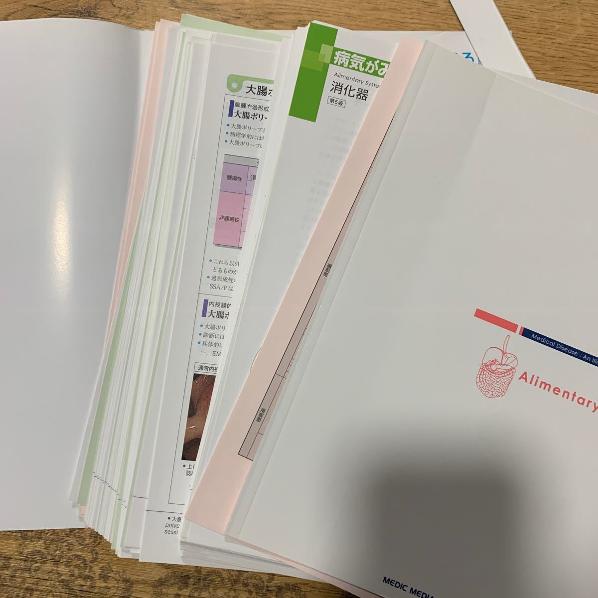 最高級の品質 病気がみえる 裁断済み 健康/医学 安く購入 【裁断済み】病気がみえる 全て最新版 全巻 健康/医学