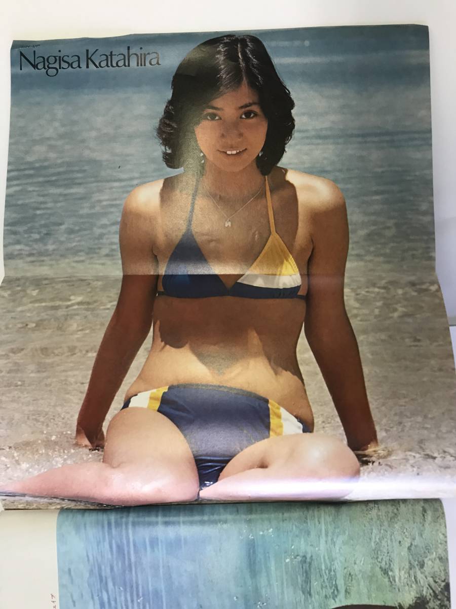 週刊プレイボーイ 1976年 36号 片平なぎさ 関根世津子/園まり 週刊プレイボーイ 1976年 36号 片平なぎさ 関根世津子/園まり
