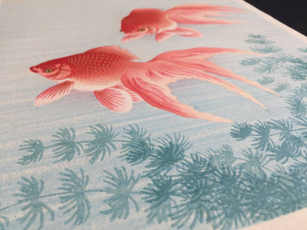 木版画 小原古邨(祥邨) 『金魚』 新版画 大判 日本画 浮世絵 木版画 小原古邨(祥邨) 『金魚』 新版画 大判 日本画 浮世絵
