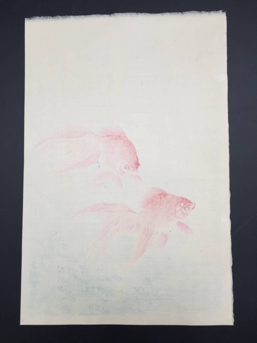 木版画 小原古邨(祥邨) 『金魚』 新版画 大判 日本画 浮世絵 木版画 小原古邨(祥邨) 『金魚』 新版画 大判 日本画 浮世絵