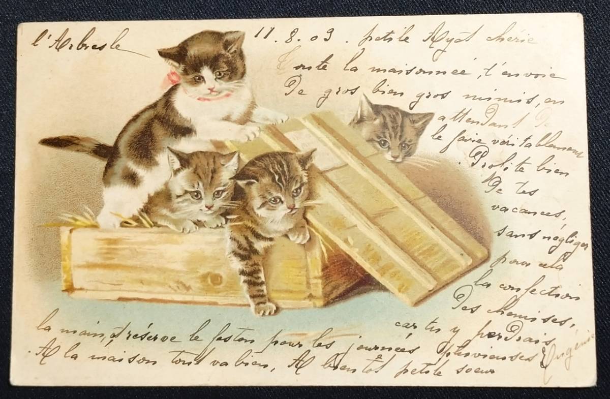 絵はがき/猫/フランス/エンタイア/1903年/明治36年/LOIRE/絵葉書/100年以上前の画像2