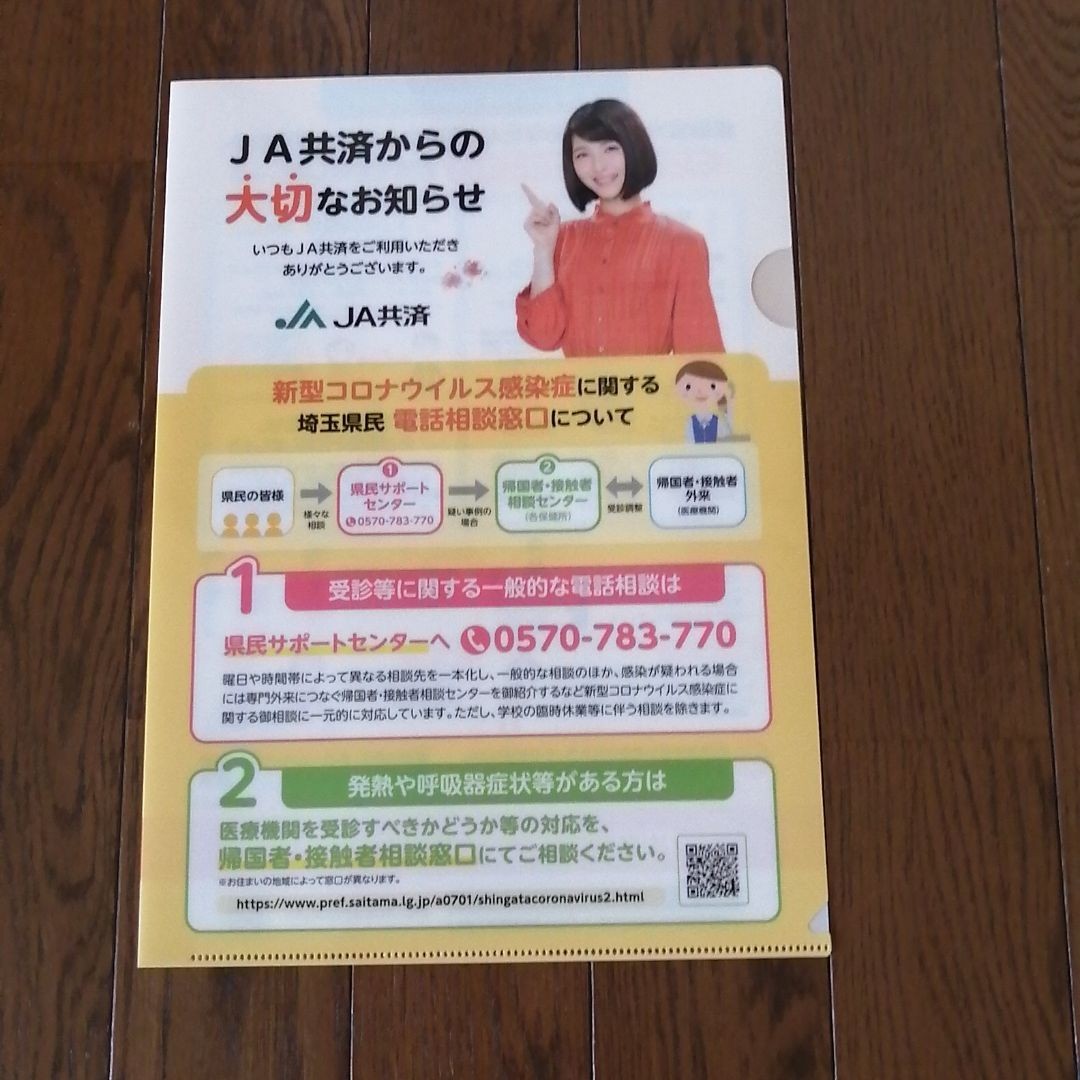 G　JA　共済　クリアファイル　浜辺美波　有村架純　農協　２枚　送料無料