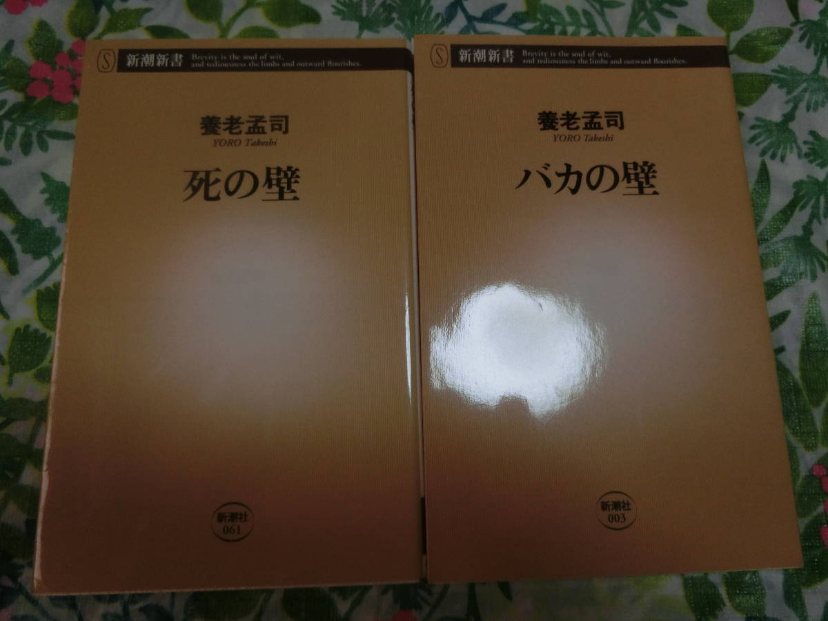 オンラインショッピング養老孟司が語る バカの壁のむこう CD DVD