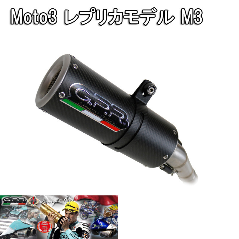 WEB限定】 GPR製車検対応スリップオンカーボンマフラー asakusa.sub.jp