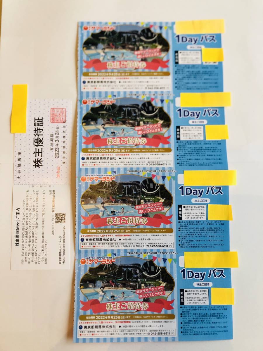 ★東京都競馬 東京サマーランド 株主優待券　株主ご招待券 4枚 フリーパス 1Dayパス　送料込み★_画像1