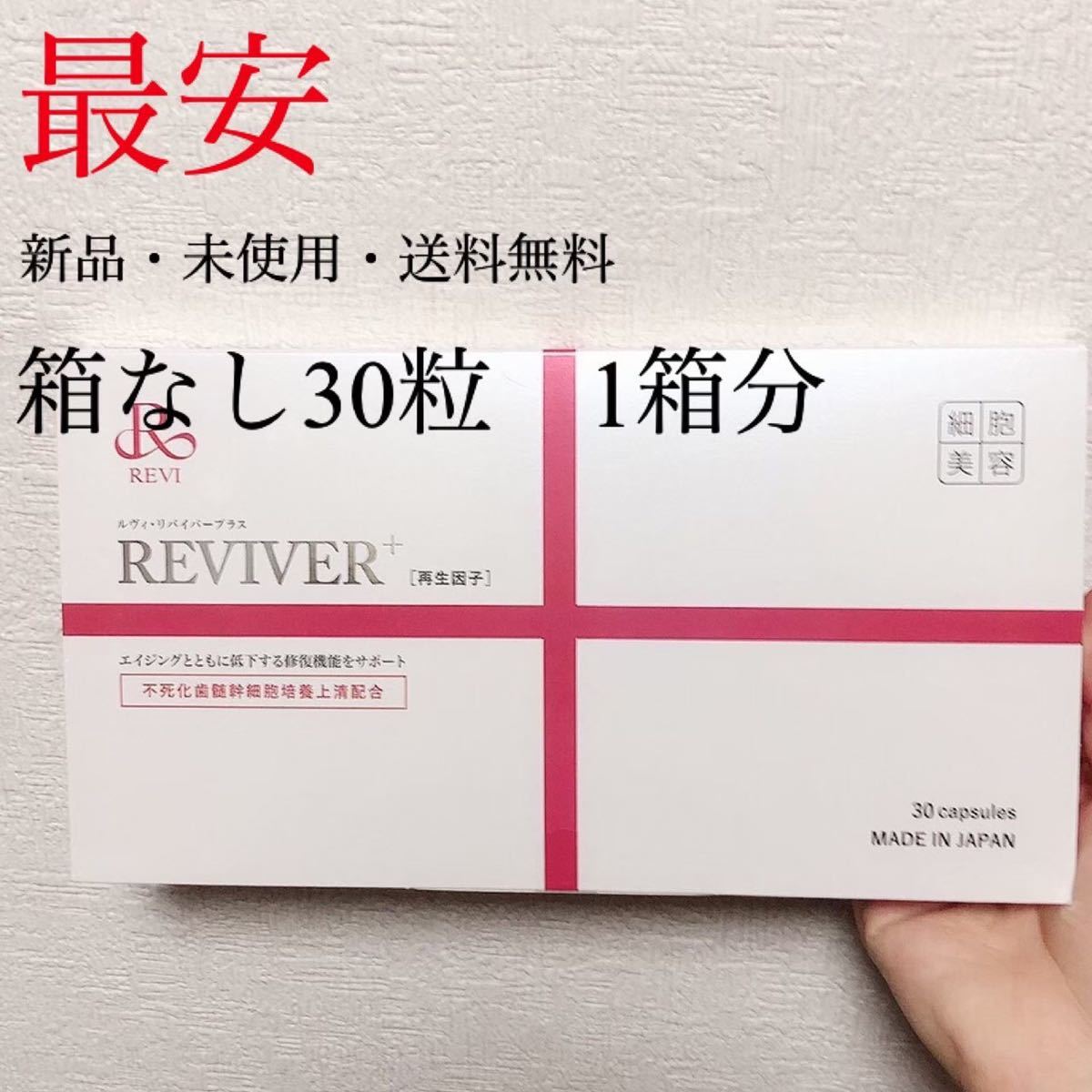 お買い得！】 REVI 陶肌パウダー 100g 未開封 ルヴィ ルビ aob.adv.br