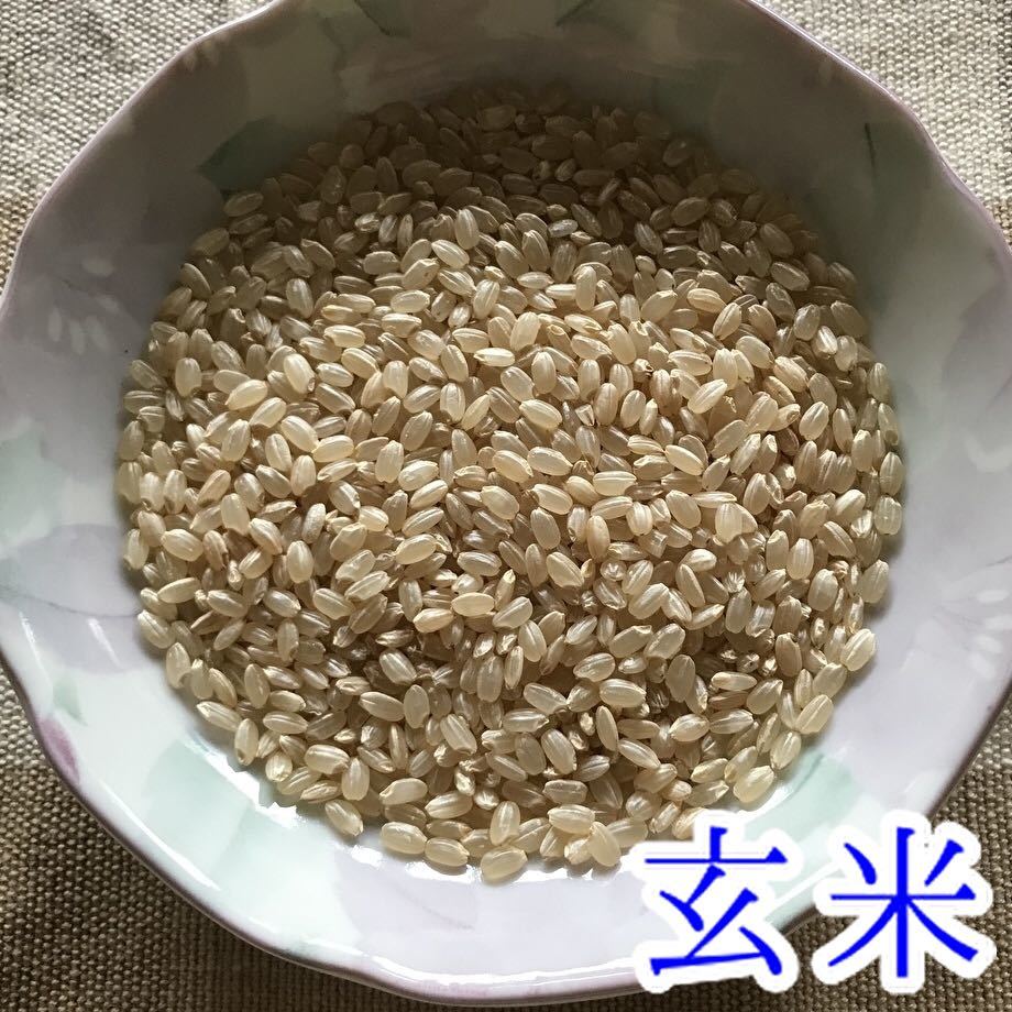 コシヒカリ 20kg 減農薬 茨城県 令和3年(2021) 米 おこめ 白米(玄米可)_画像3