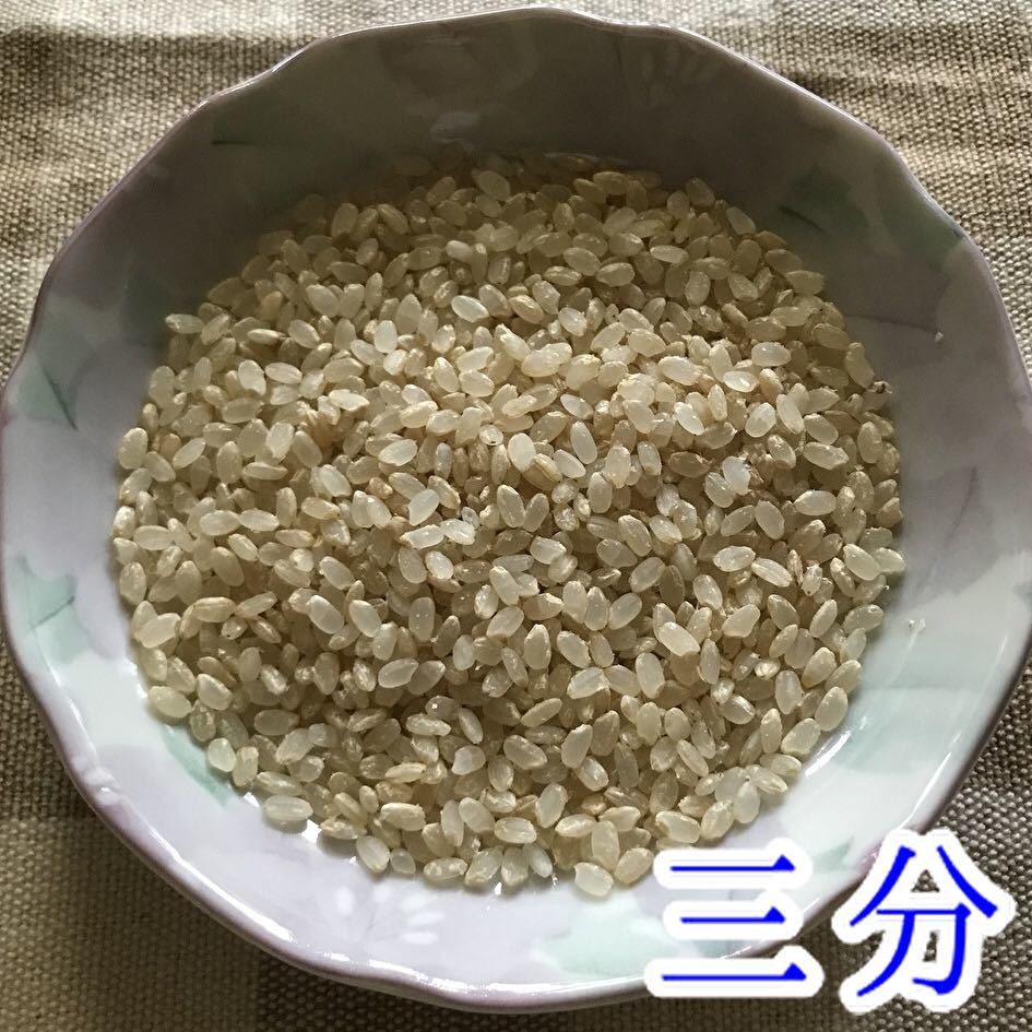コシヒカリ 10kg 減農薬 茨城県 令和3年(2021) 米 おこめ 玄米(白米可)_画像4