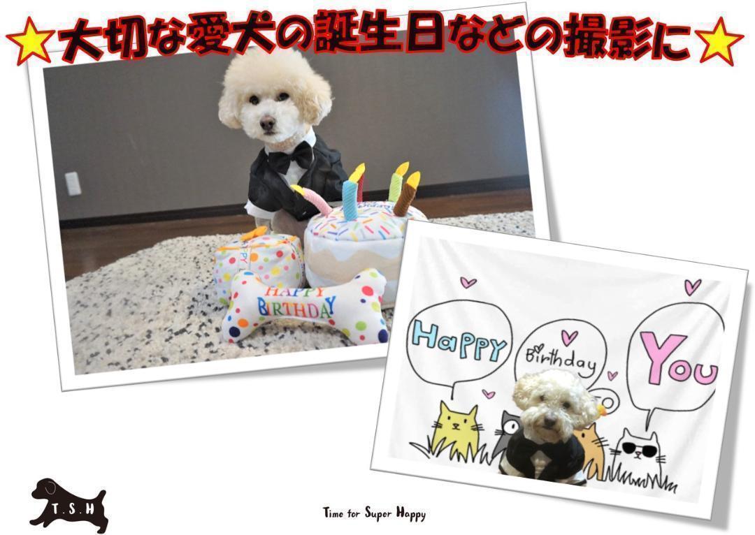 格安 価格でご提供いたします ペット用タキシード 黒色 Xxlサイズ 犬 正装服 コスチューム Pcinsurances Ie 格安 価格でご提供いたします ペット用タキシード 黒色 Xxlサイズ 犬 正装服 コスチューム Pcinsurances Ie