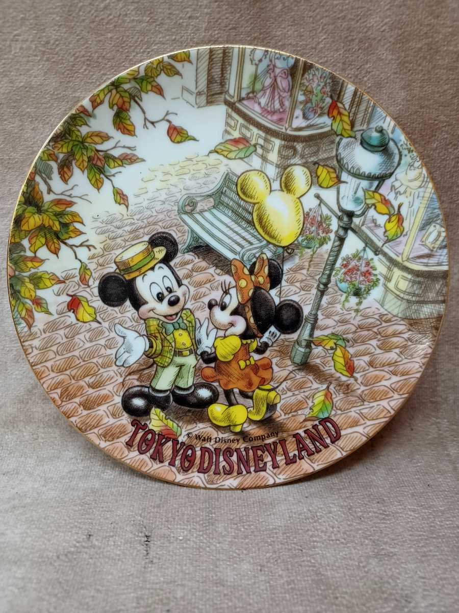 88%OFF!】 東京ディズニーランドで買ったお皿 fawe.org