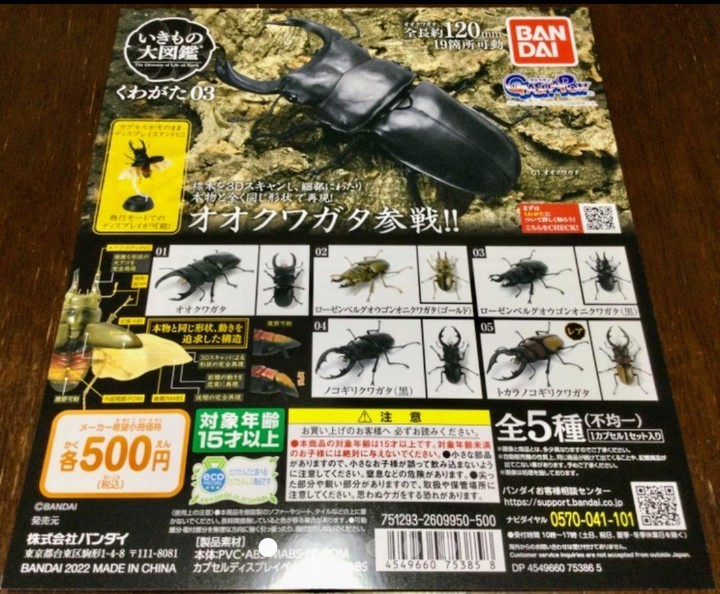 いきもの大図鑑 かぶとむし02 くわがた03 ガチャガチャ いきもの大図鑑 かぶとむし02 くわがた03 ガチャガチャ