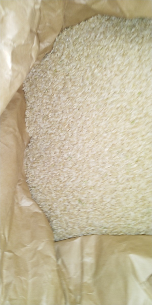 新米令和3年産栃木県特一等米コシヒカリ玄米25キロ無農薬にて作り上げた自慢のお米になります。