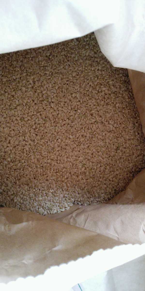 令和3年産栃木県特一等米【A級ランク】シヒカリ25キロ無農薬級にて作り上げた自慢のお米です。安心、安全のお米です。食べてみてい下さい。_画像9