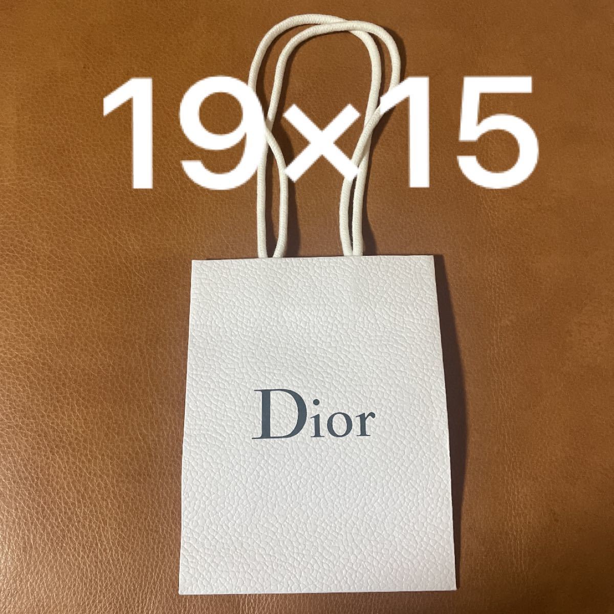 19×15 Dior ショップ袋 紙袋 ディオール ショッパー