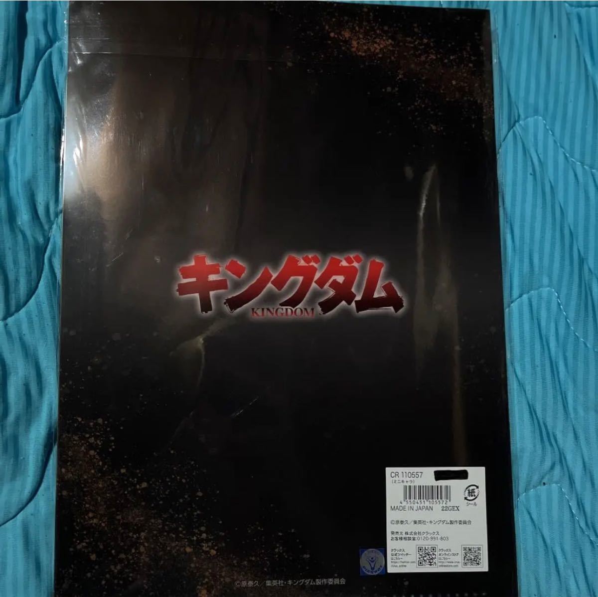 キングダム2公開記念 Kingdom展での李信将軍 映画クリアファイル キングダム2公開記念 Kingdom展での李信将軍 映画クリアファイル