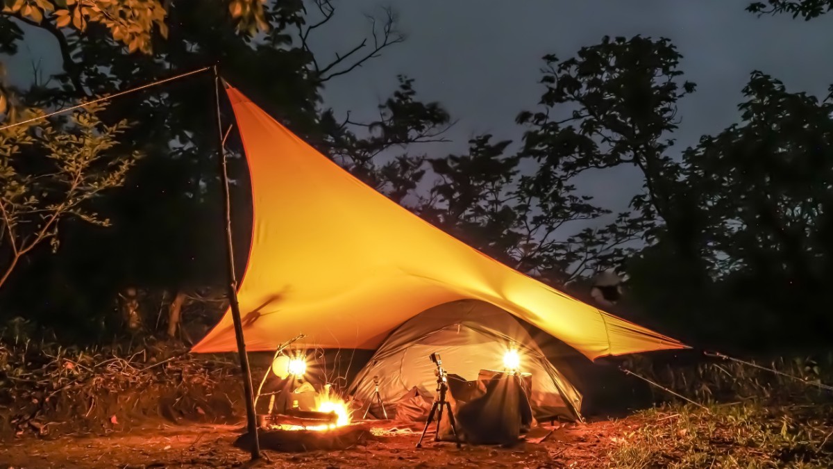 販売期間 限定のお得なタイムセール WILD-1テンマクデザイン ムササビ