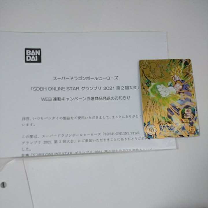 H6-56p ベジット スペシャルメモリアルパック - brandsynariourdu.com