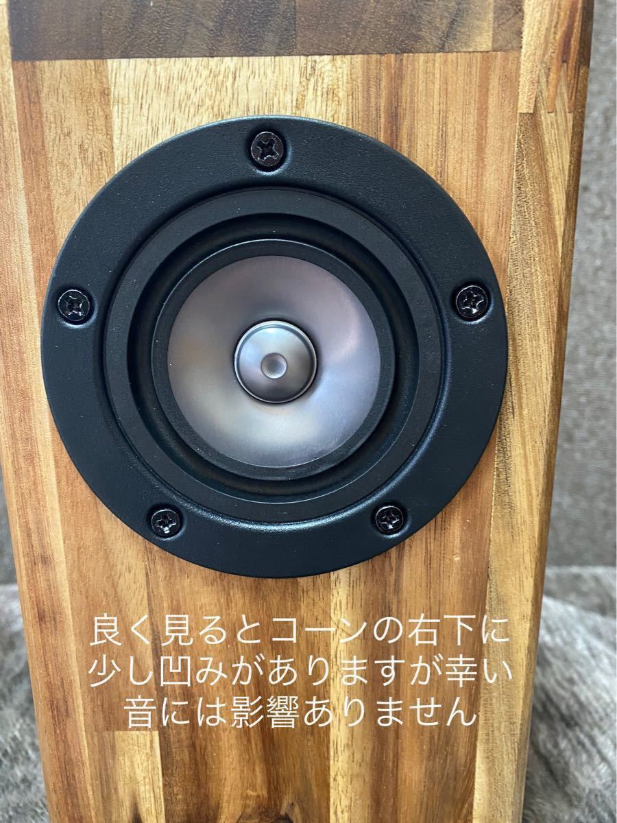 マークオーディオ OM-MF519+ダブルバスレフエンクロージャー サラン
