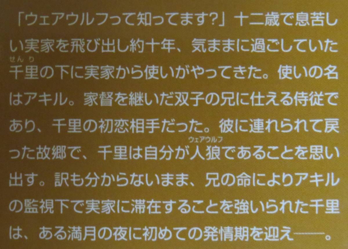 ★ボーイズラブ小説／綾ちはる／２０１８年１０月／即決／Ｃｉｅｌ／「不実な従者と狼の花」_画像2