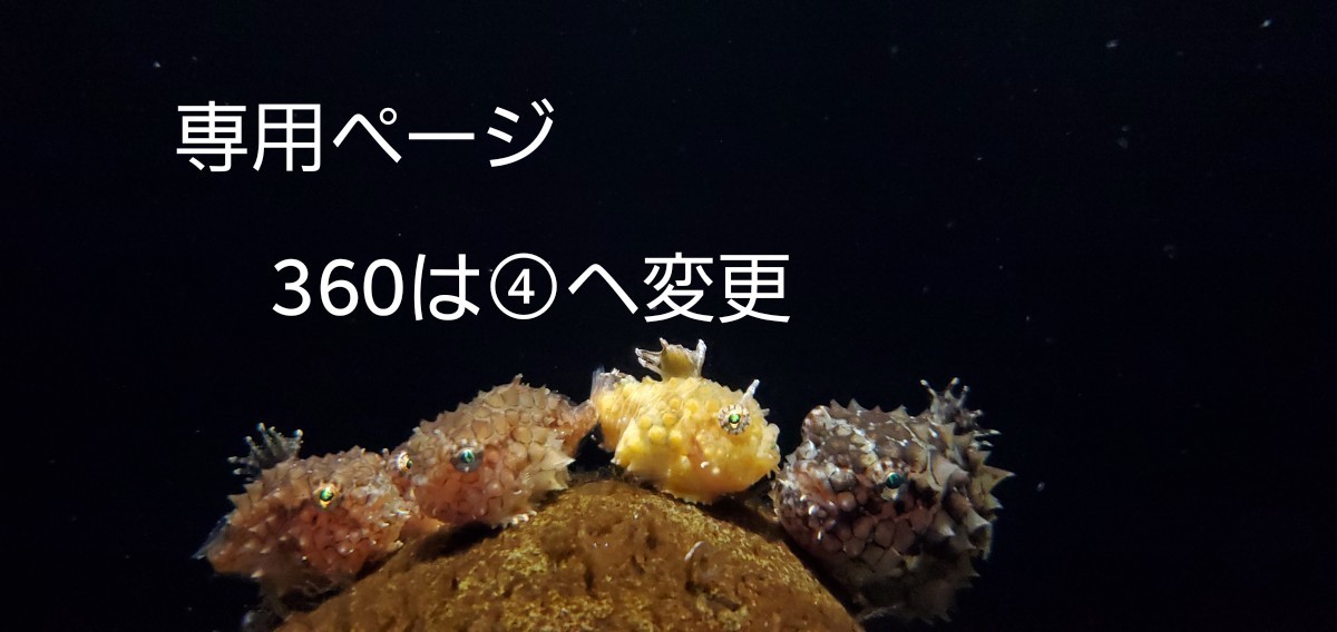 ハンドメイド パーツ ねじれ ピンク 水色 【合計14個】 ビーズ