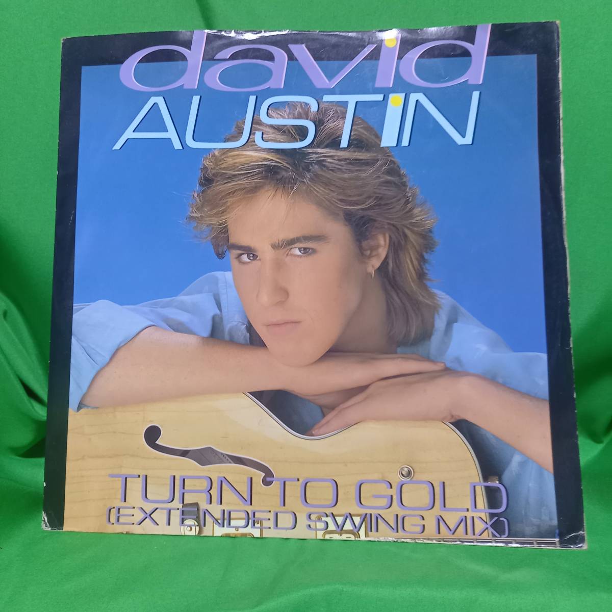 12' David Austin - Turn To Gold_画像1