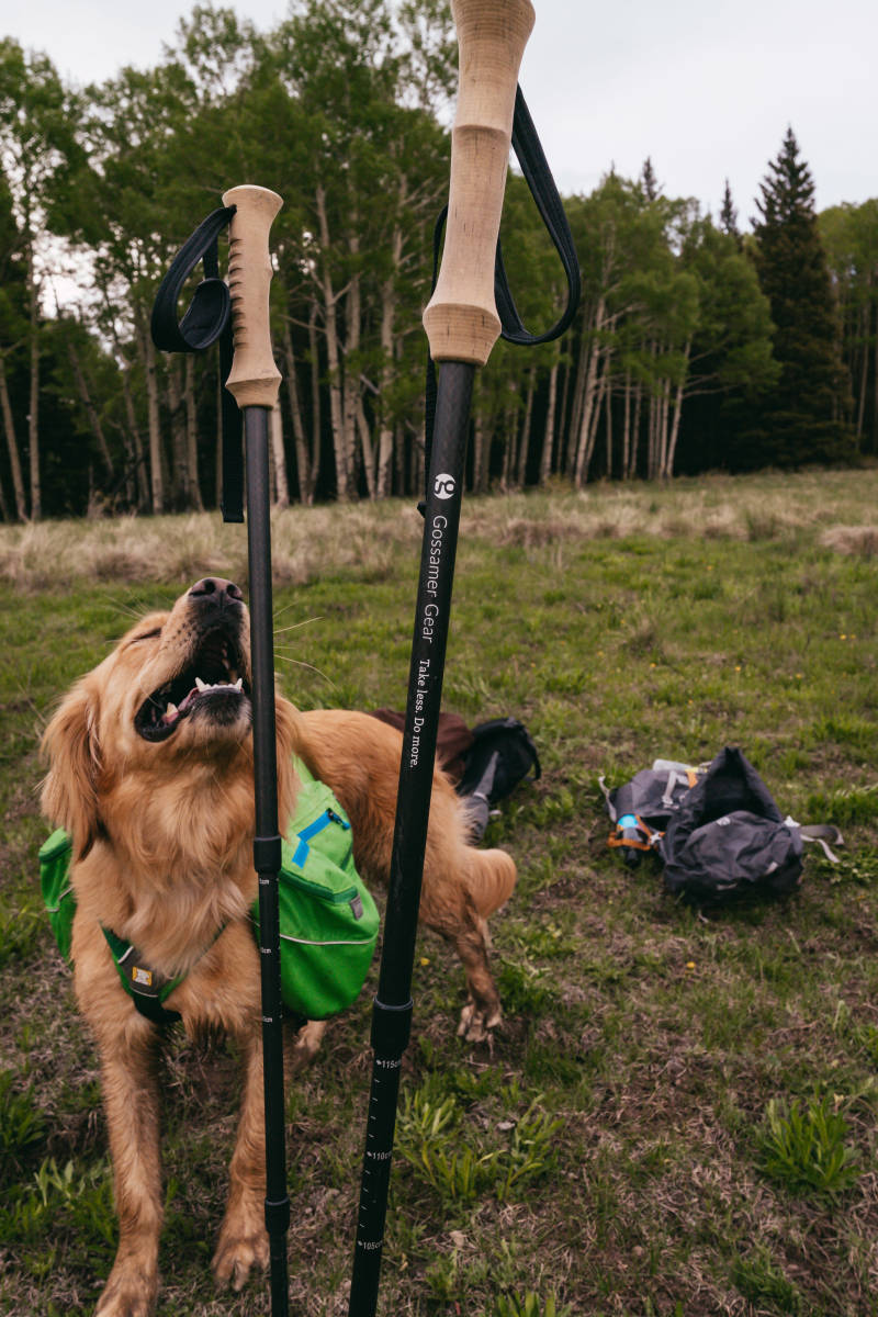 GOSSAMERGEAR ゴッサマ―ギア LT5 THREE PIECE CARBON TREKKING POLES