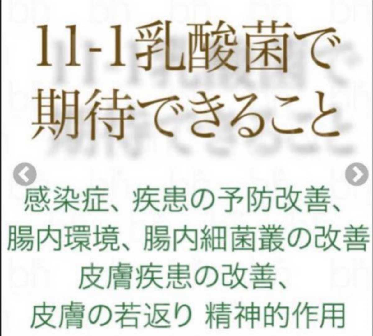 本命ギフト 健久美 11-1(いちいちのいち)乳酸菌☆新品未開封12個 1箱