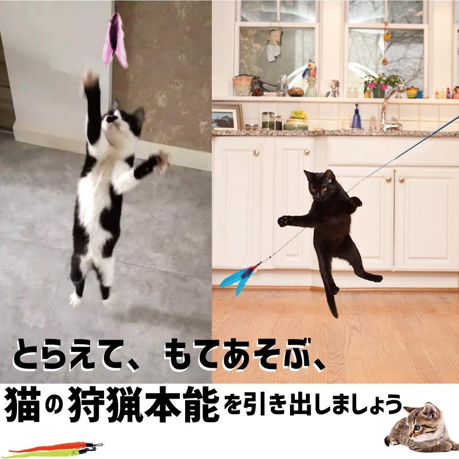 ブランド雑貨総合 送料187円 猫じゃらし 11点セット 猫用おもちゃ ねこじゃらし 猫 ねこ ネコ 釣り竿 猫用品 ペットグッズ 運動不足解消 ペット用品 Lacistitis Es ブランド雑貨総合 送料187円 猫じゃらし 11点セット 猫用おもちゃ ねこじゃらし 猫 ねこ ネコ 釣り竿 猫用品 ペットグッズ 運動不足解消 ペット用品 Lacistitis Es