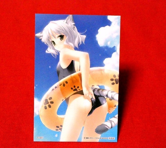 とらのあな2009夏非売品カードトレカ　橋本タカシ　T-0207_画像1