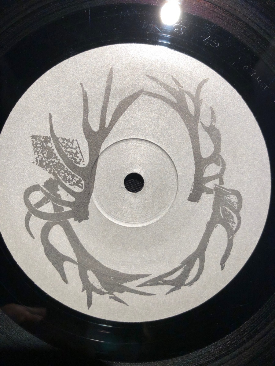 LAIBACH / NOVA AKROPOLA LP CHERRY RED RECORDS_画像5