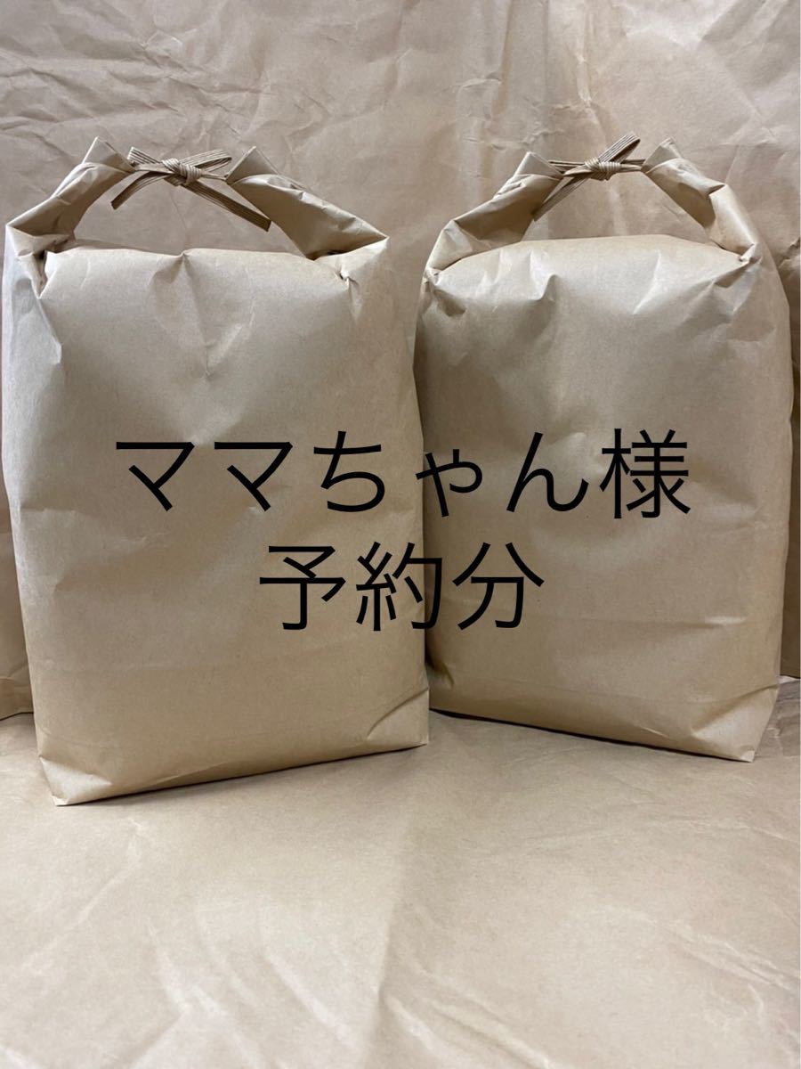ママちゃん様 予約分 魚沼 c3SGHVmN31 - godawaripowerispat.com