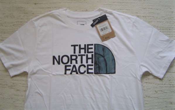 セール THE NORTH FACE ノースフェイス tシャツ 半袖 カットソー ドームロゴ ユニセックス 白 M NFOA4M4P523_画像2