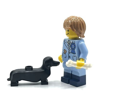 即決　新品 未使用　レゴ　LEGO　ミニフィギュア　ミニフィグ 愛犬家の男性　ダックスフンド　ペットシッター　犬 犬好き_画像2