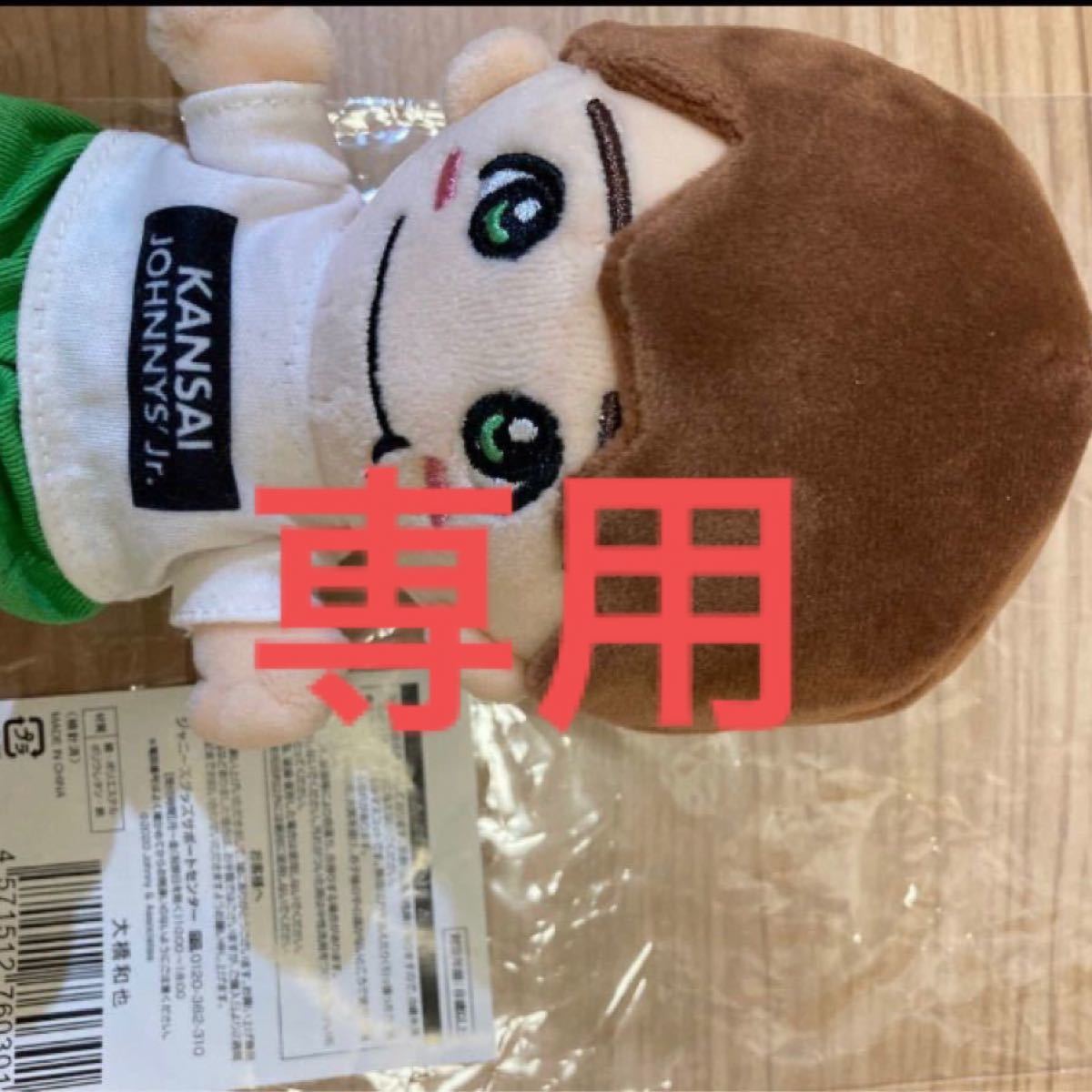 ちびぬい 大橋和也(ゆい様専用) | contifarma.pe