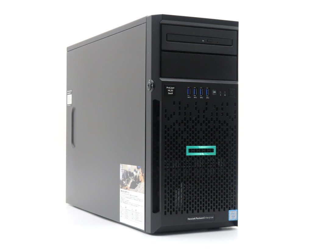 hp ProLiant ML30 Gen9 (2.5インチ) Xeon E3-1220 v5 3GHz 8GB 600GBx2