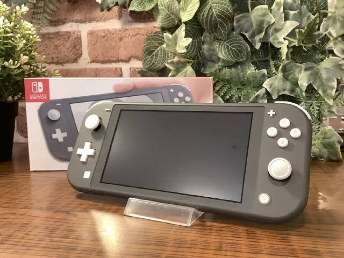Nintendo Switch Liteグレー Nintendo Switch Liteグレー