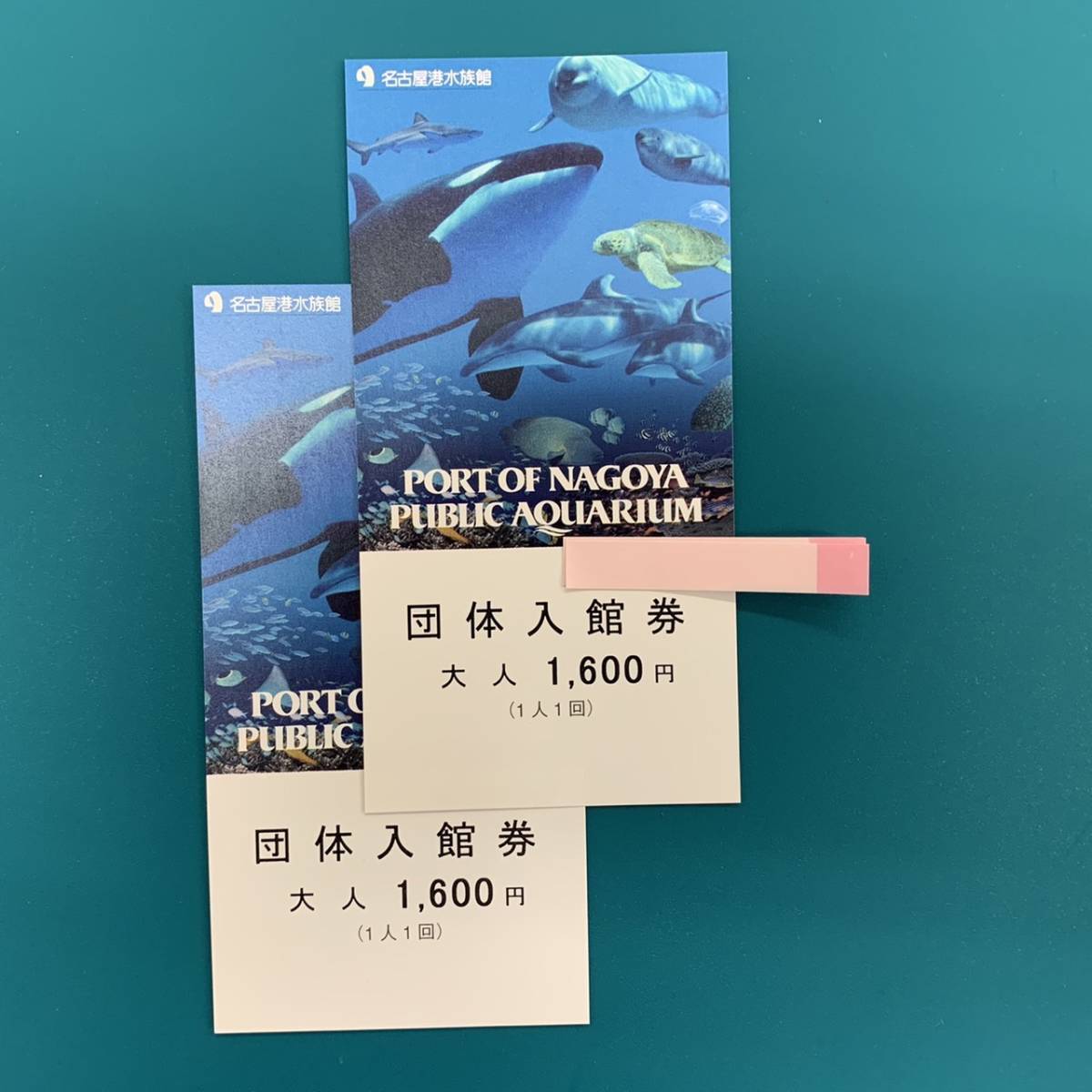 偉大な 名古屋港水族館 幼児用2枚 ienomat.com.br