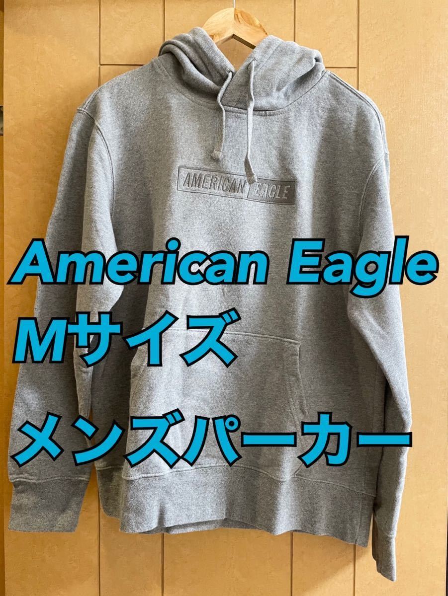 スウェット(トレーナー)American eagle XS(日本サイズS) - スウェット