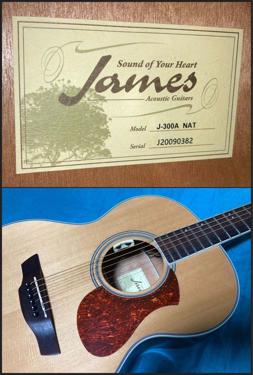 James J-300A/NAT ジェームスアコースティックギター | contifarma.pe