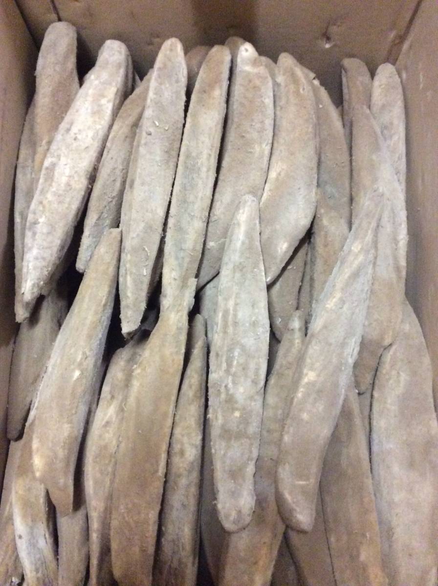 送料込 枕崎産 荒本仕上げ鰹節 20kg カビ付 荒節 荒本鰹節 本枯れ