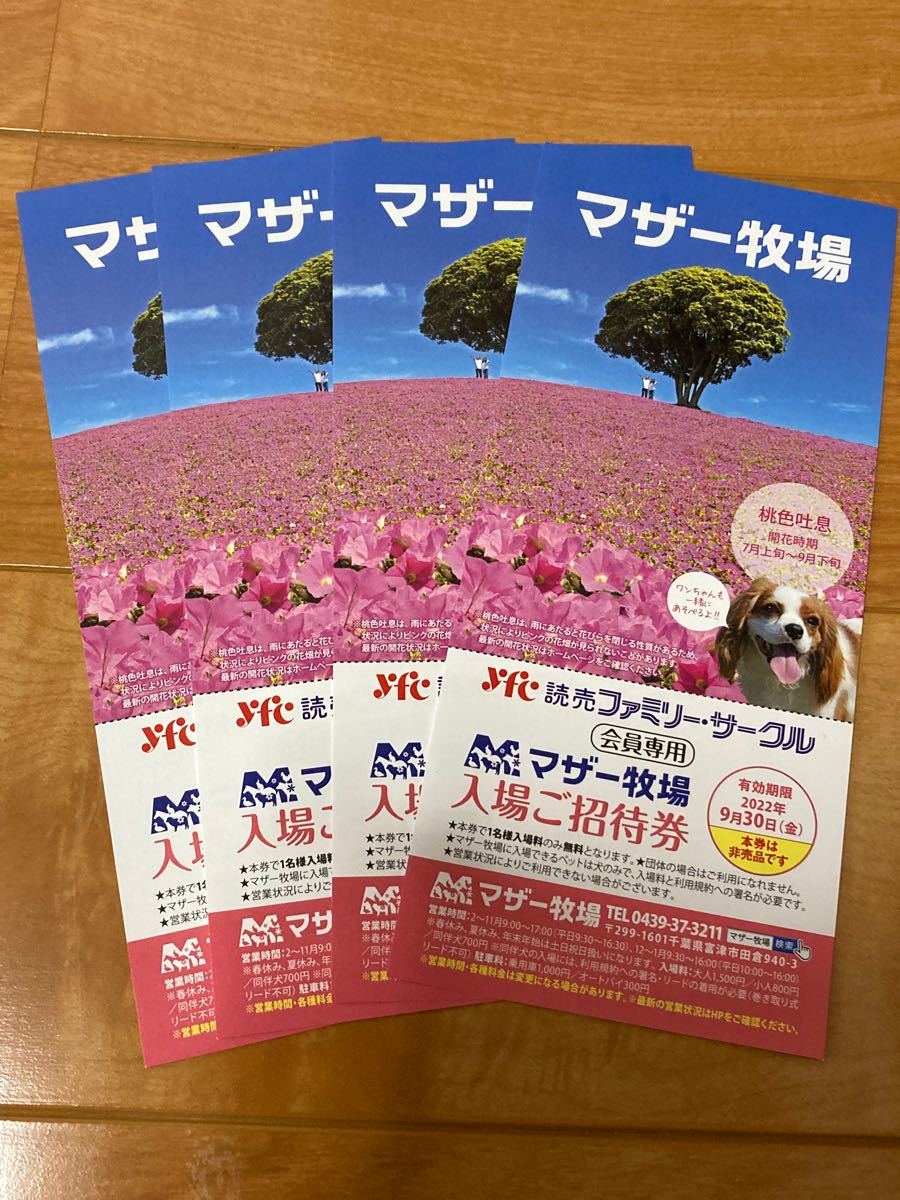 激安通販専門店 マザー牧場入場ご招待券 4枚 tbg.qa