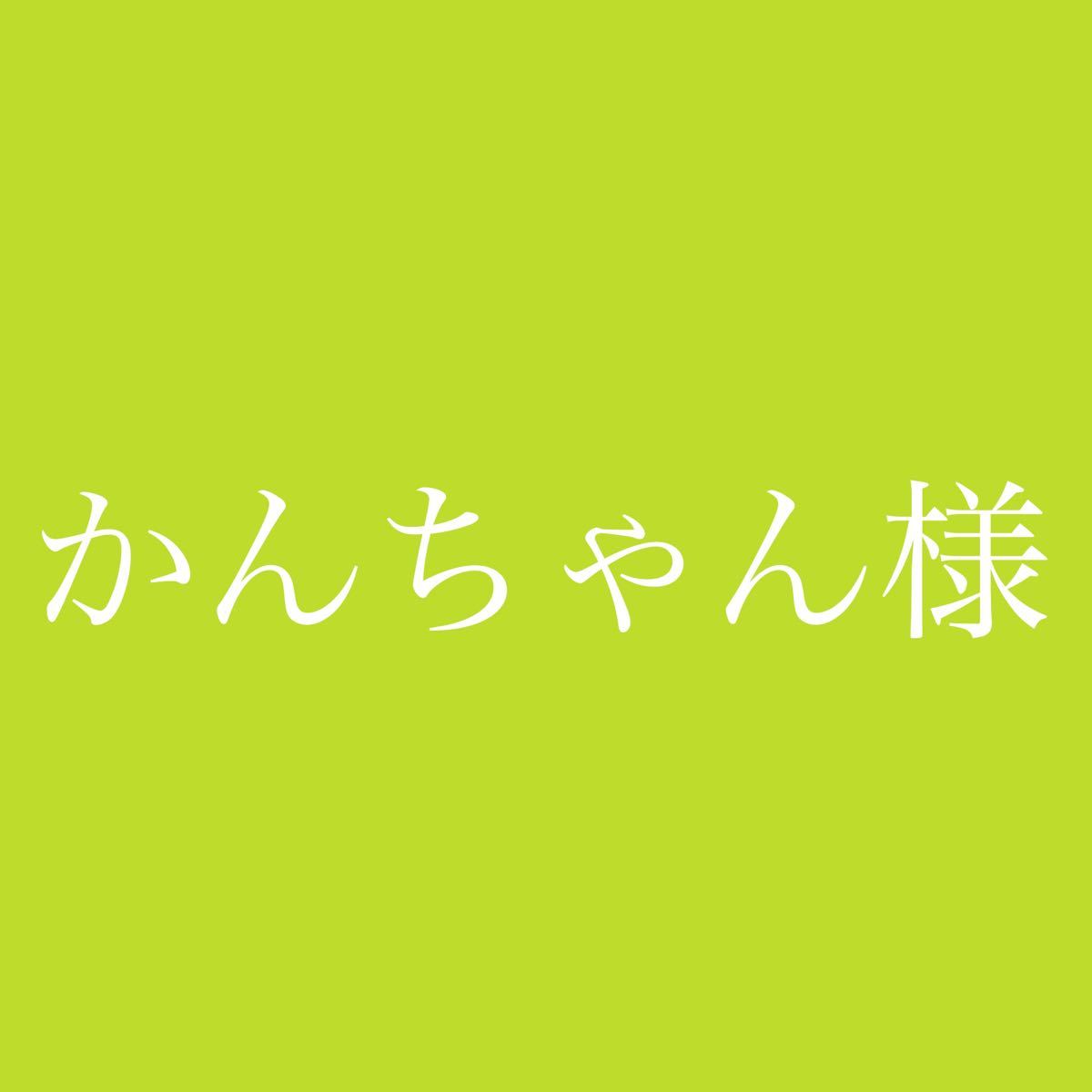 お得大得価 かんちゃん様専用